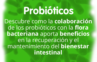i3.1 fondo verde de probióticos